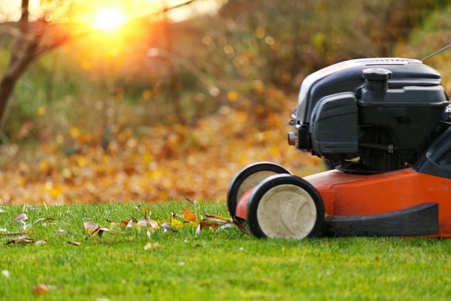 How To Fix Common Lawn Problems Quickly in Sacramento, CA