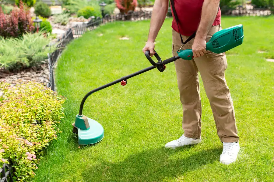 Premium Lawn Care Sacramento, CA