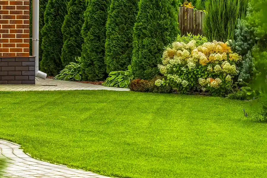 Reputable Lawn Care Sacramento, CA