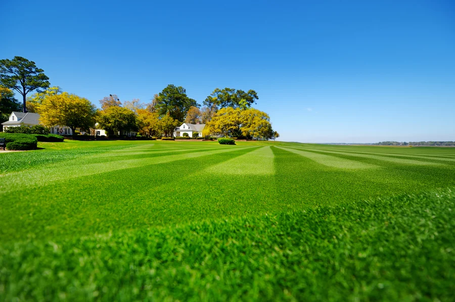 Top Lawn Care Trends Shaping The Landscaping Industry in Sacramento, CA