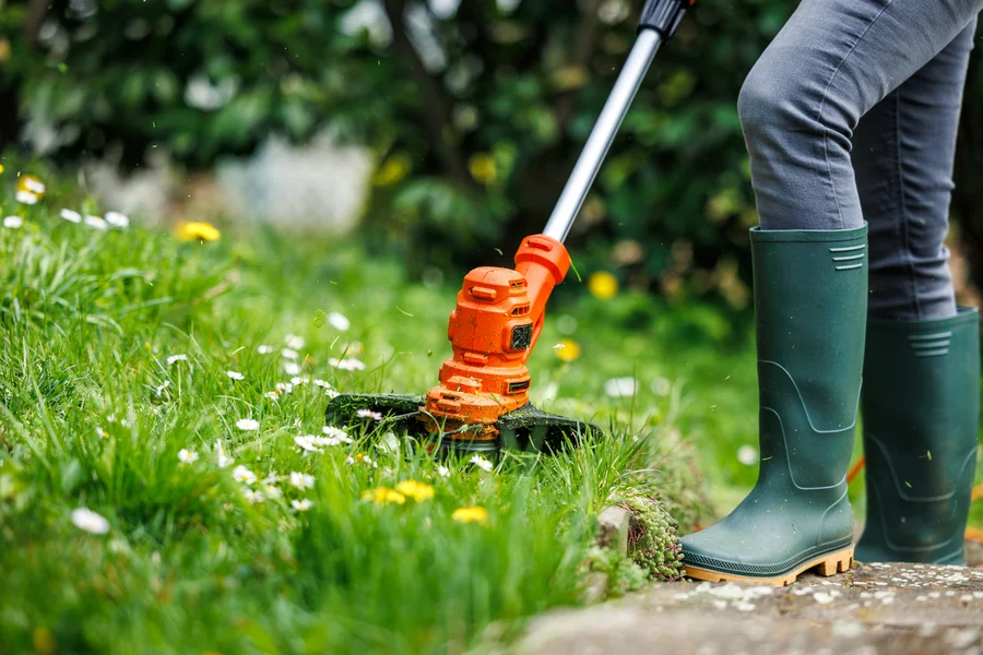 Top-rated Lawn Care Sacramento, CA